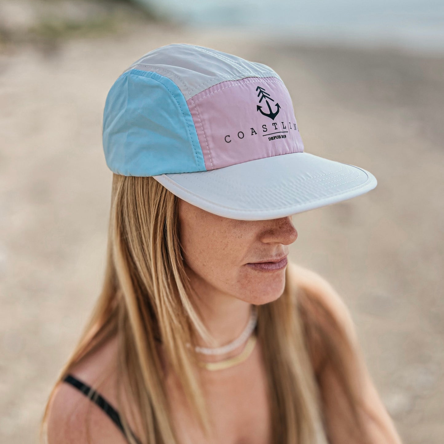 Five panel - Rose et bleu