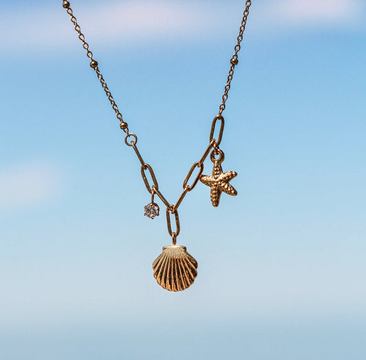 Collier - Coastal Shell