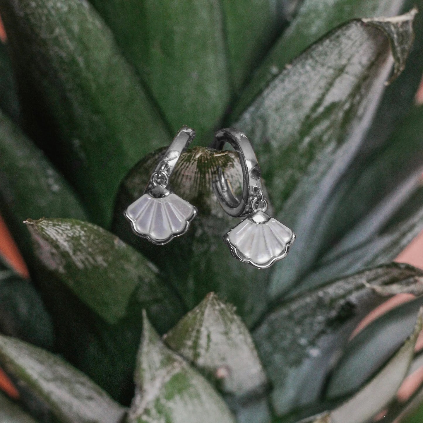 Boucles d’oreilles - White Shell