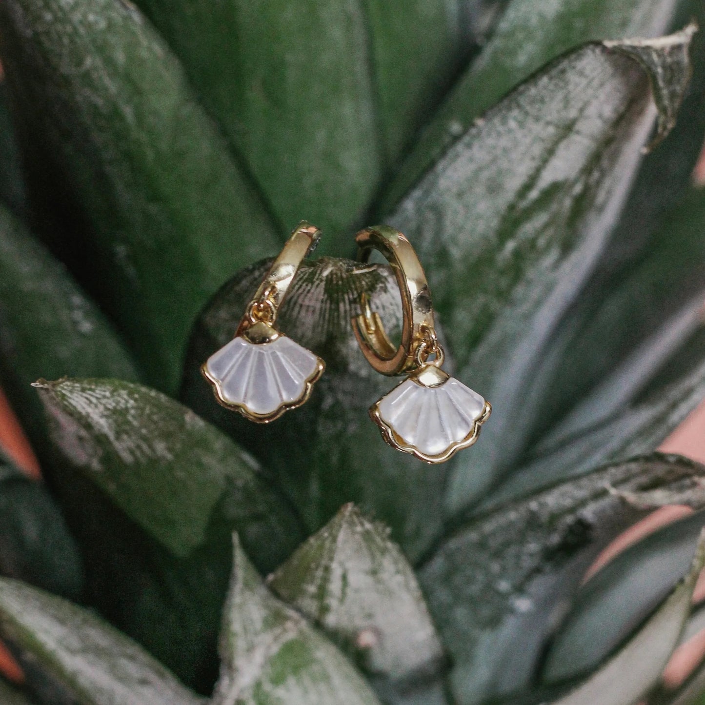 Boucles d’oreilles - White Shell